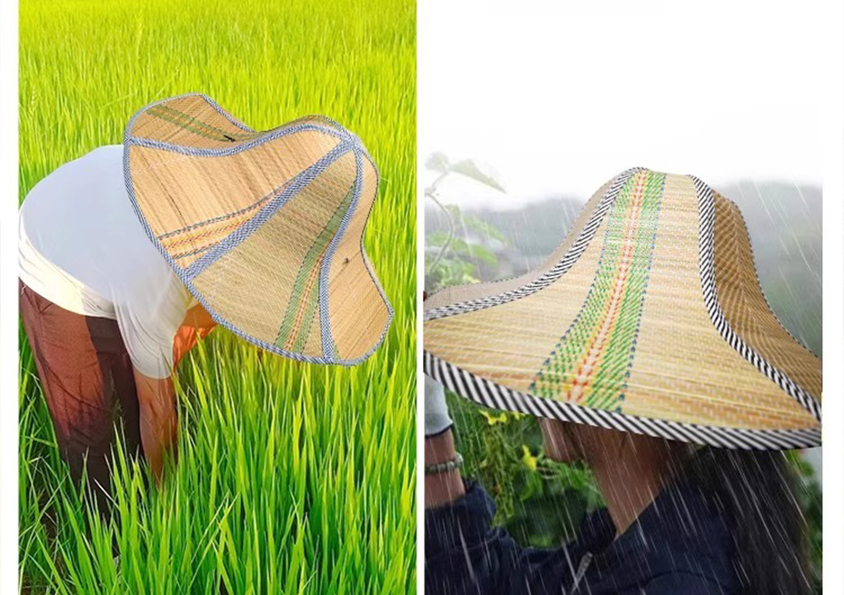xq2.jpg