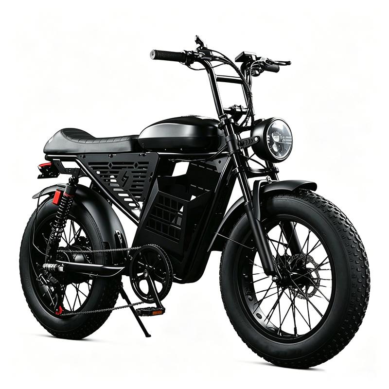 Electric two-wheeled vehicle