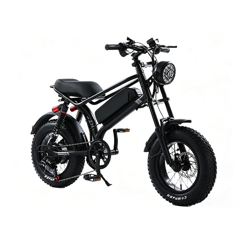 Electric two-wheeled vehicle