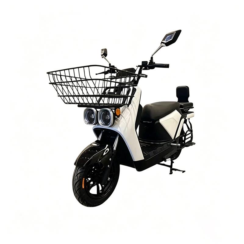 Electric two-wheeled vehicle
