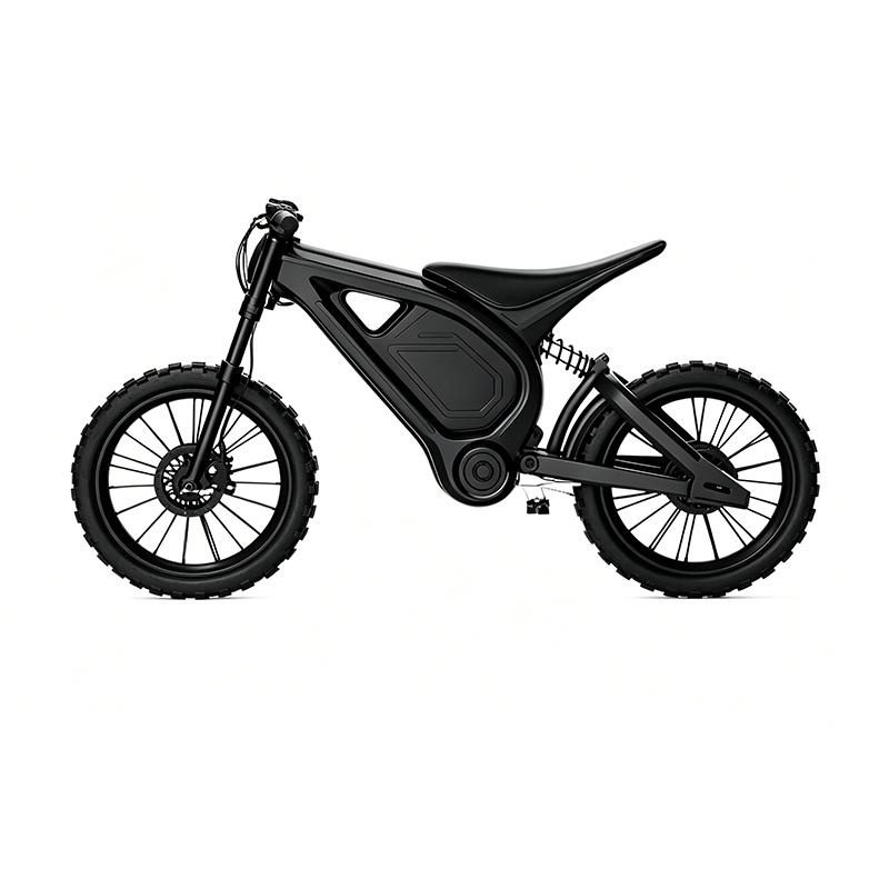 Electric two-wheeled vehicle