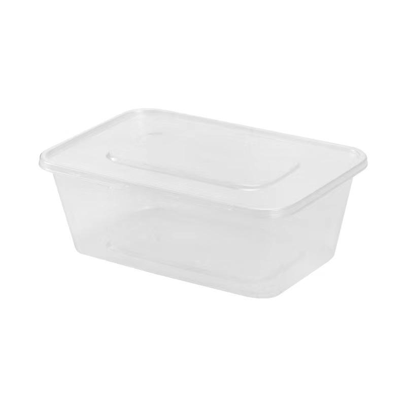 Disposable Lunch Boxes