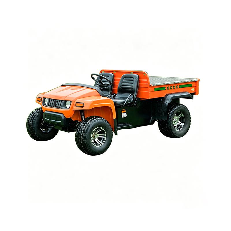 Electric four-wheel vehicle.