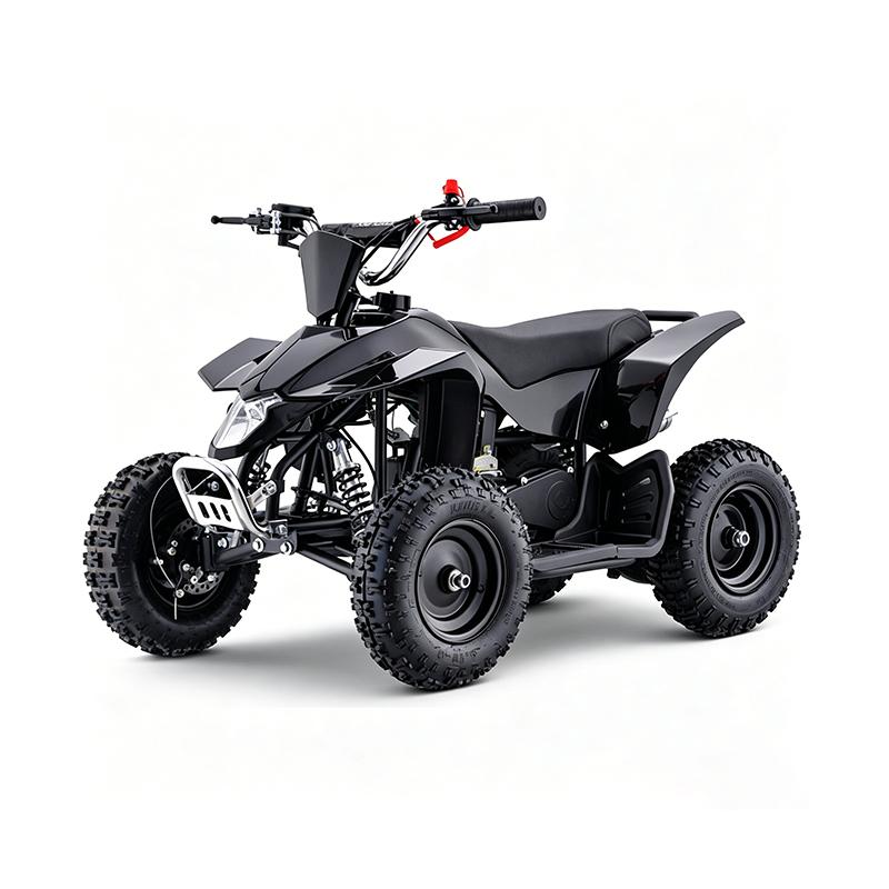 Electric four-wheel vehicle.