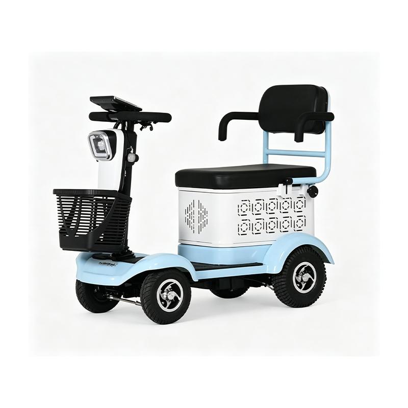 Electric four-wheel vehicle.