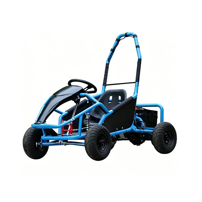Electric four-wheel vehicle.