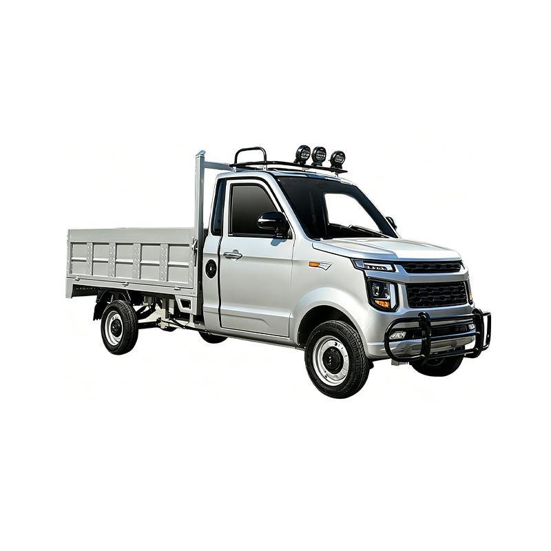 Electric four-wheel vehicle.