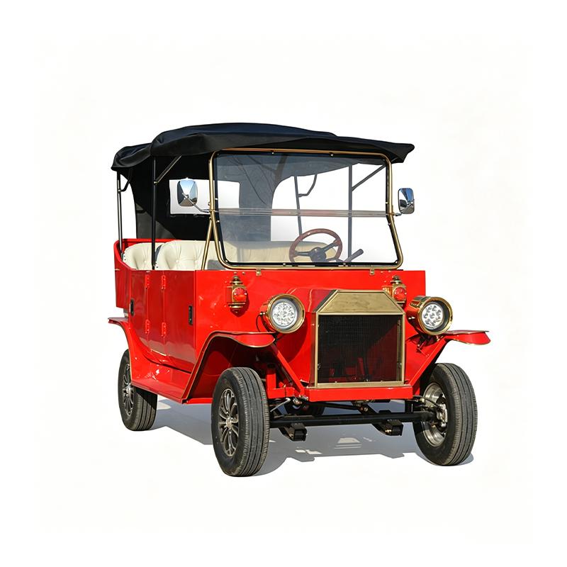Electric four-wheel vehicle.