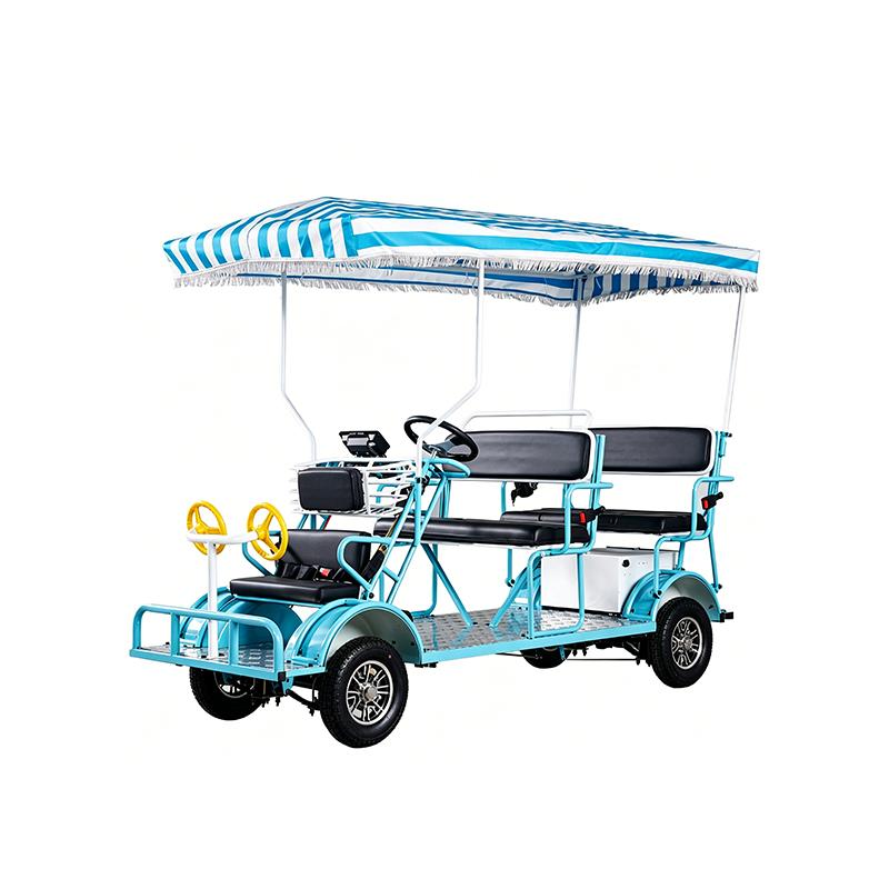 Electric four-wheel vehicle.
