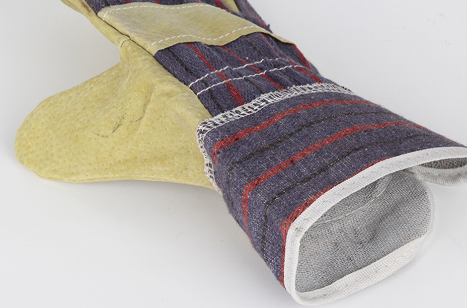 xq1.jpg