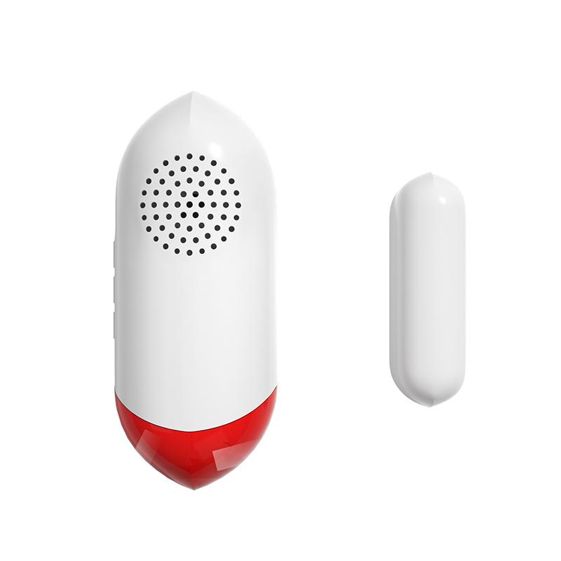 Anti-Theft Alarm