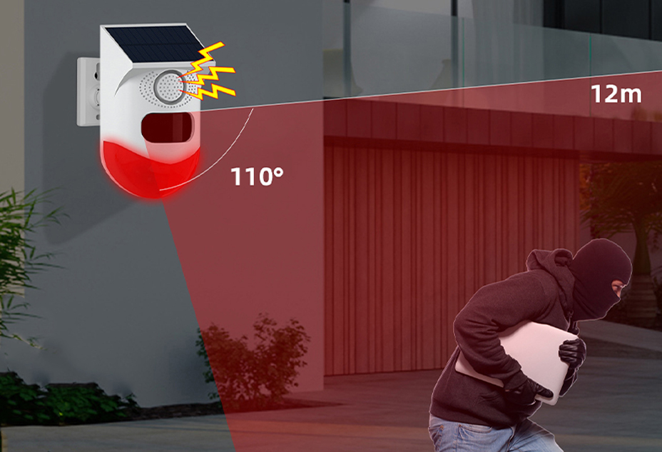 xq1.jpg