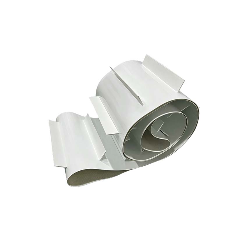 Conveyor belt