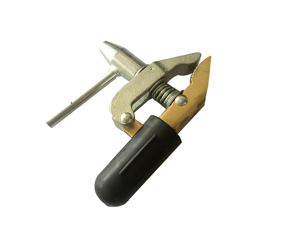 xq1.jpg