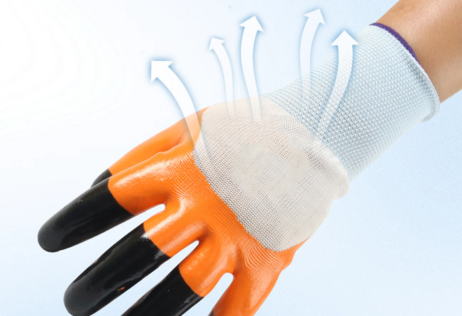 xq3.jpg