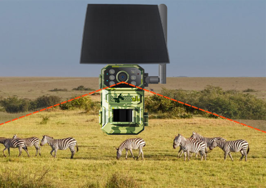 xq2.jpg