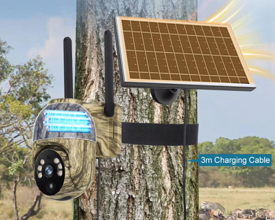 xq3.jpg