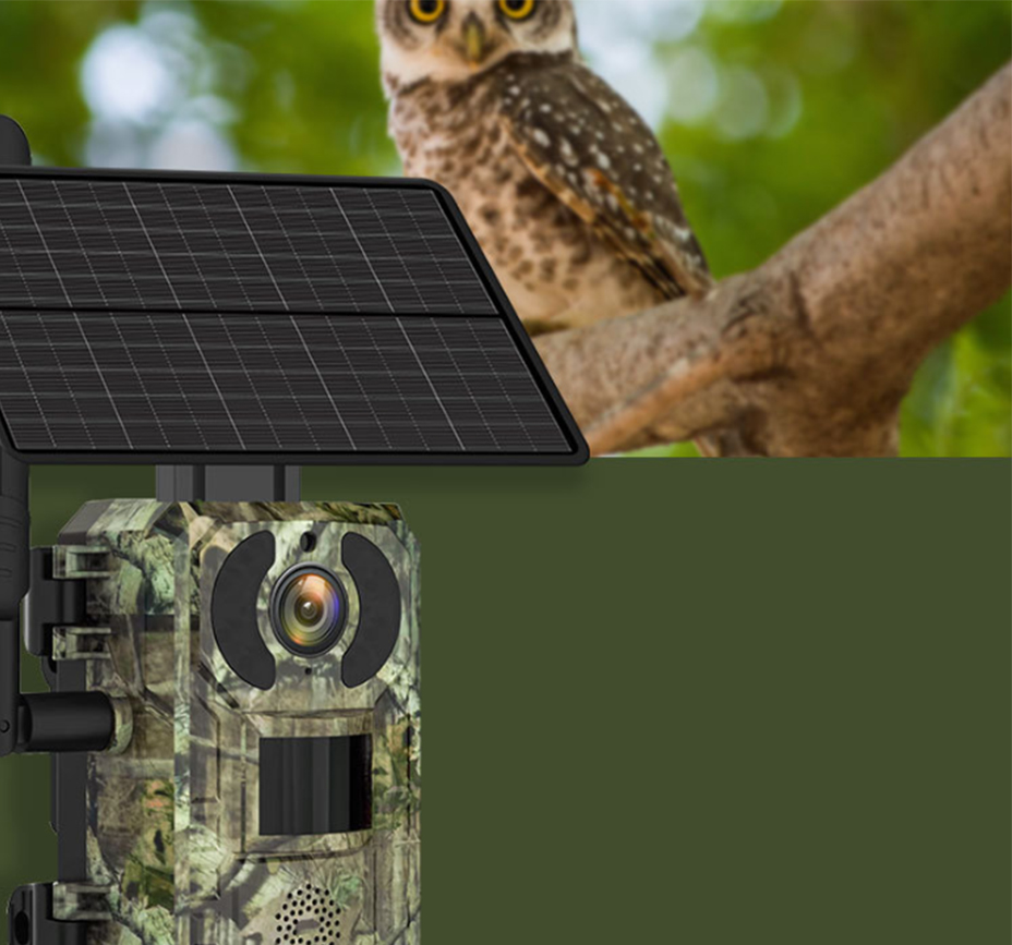 xq1.jpg