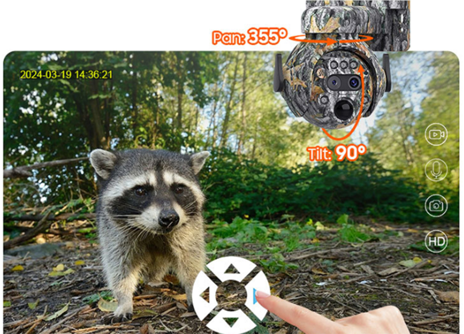 xq1.jpg