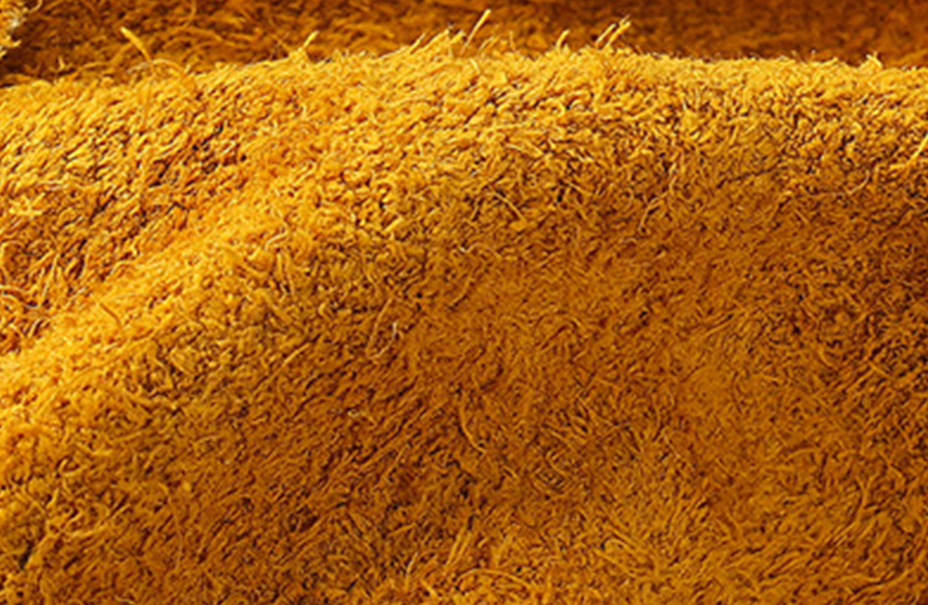 xq1.jpg