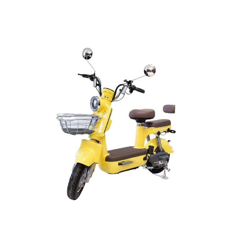 Electric Two-Wheeler
