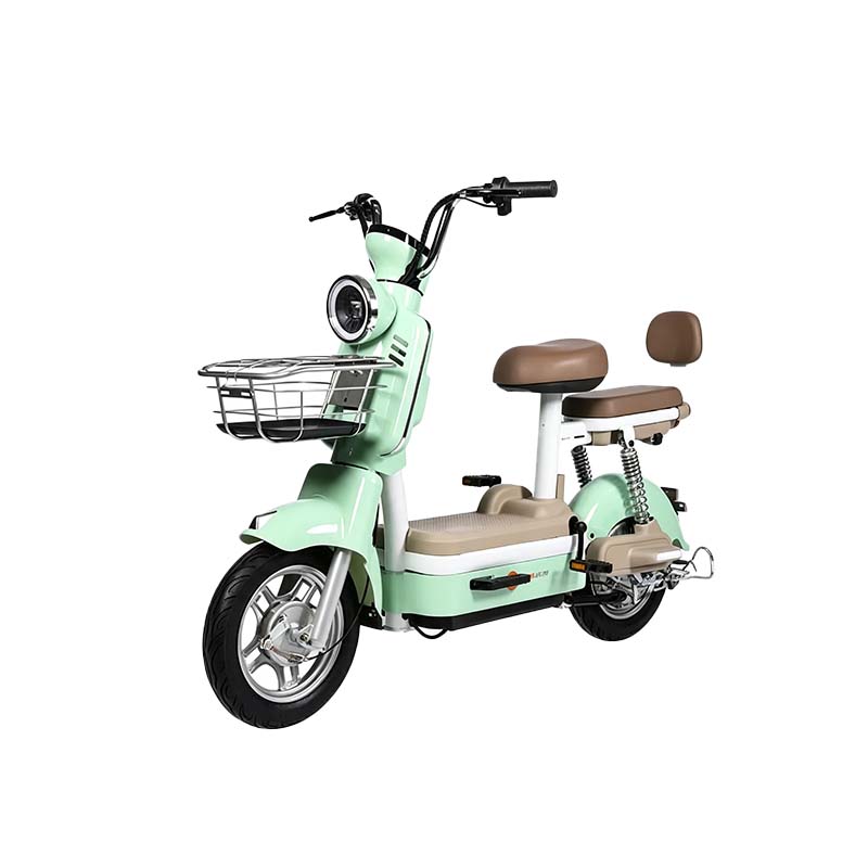 Two-Wheel Electric Vehicle