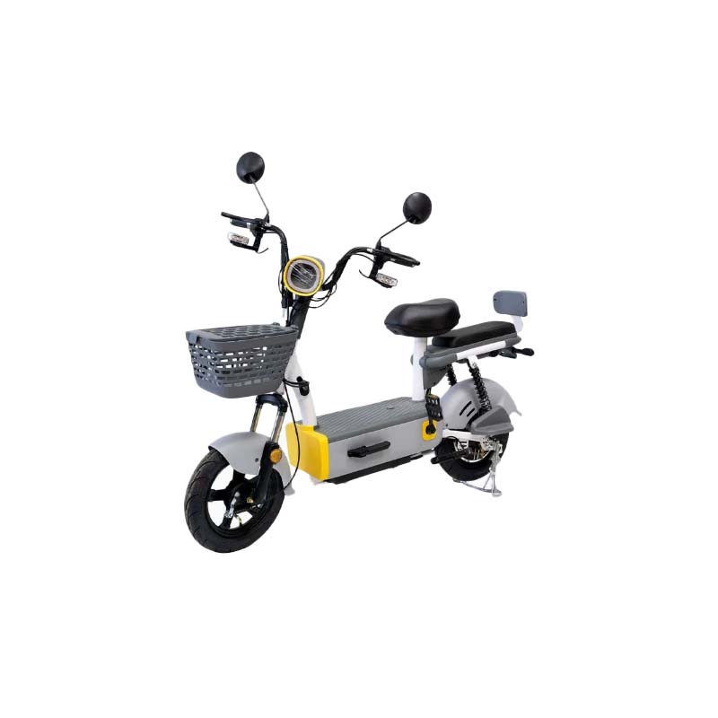 Electric Two-Wheeler