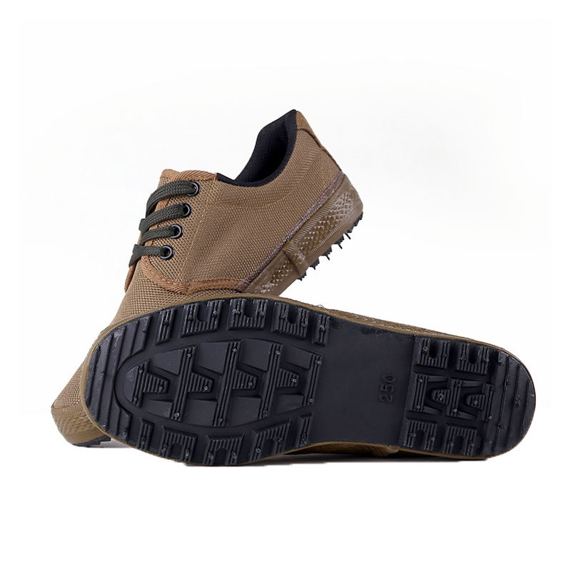 Canvas Shoes
