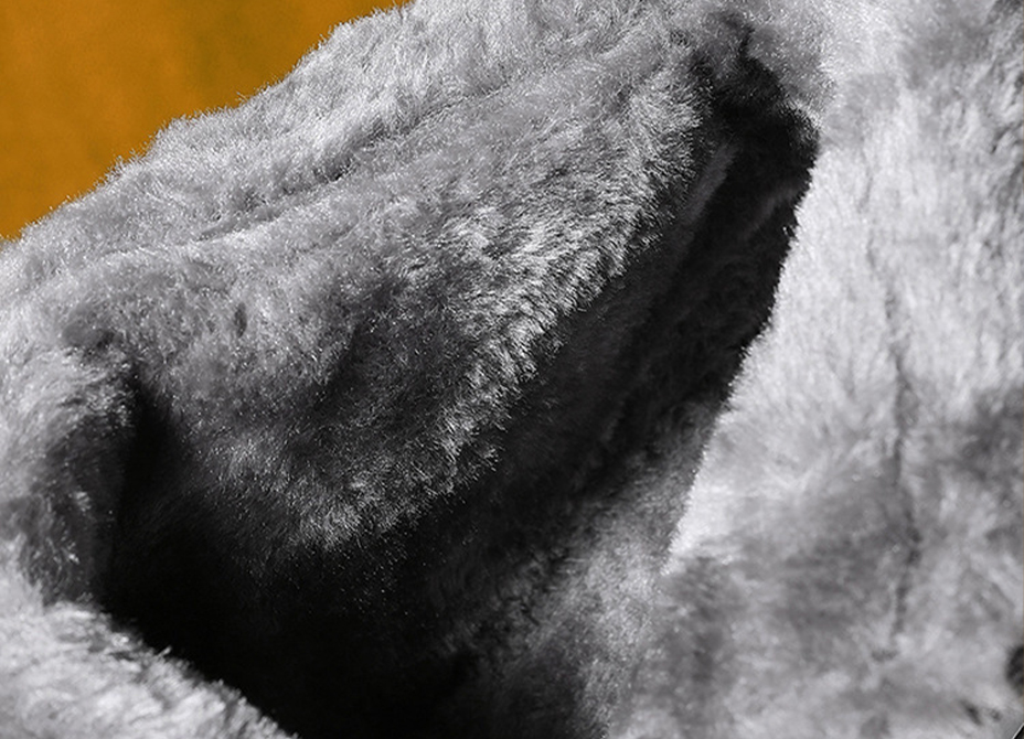 xq4.jpg